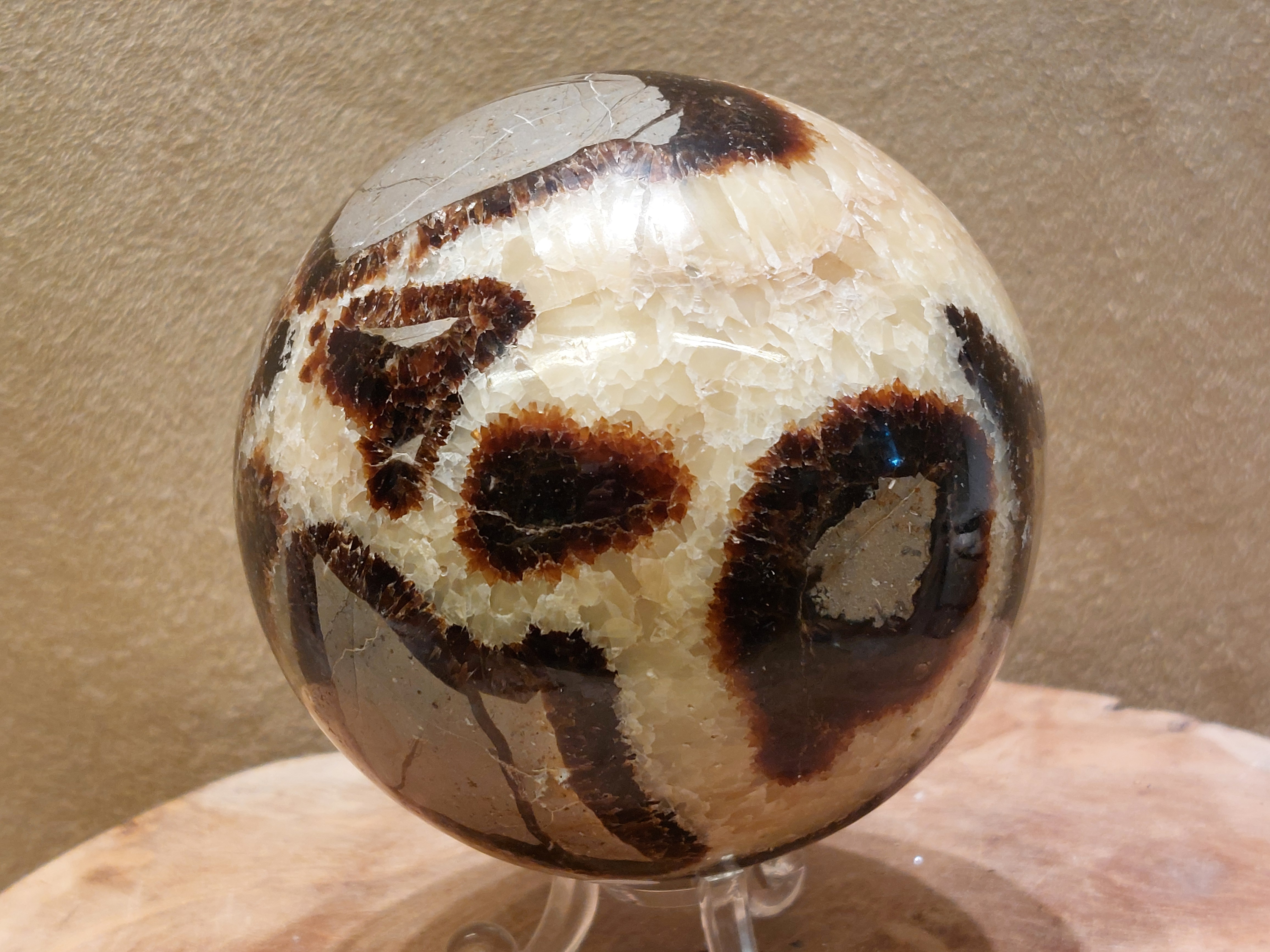 Septarie bol