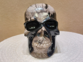 Versteend hout human skull