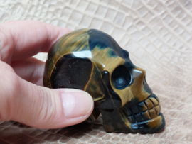 Tijgeroog human skull