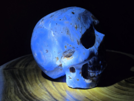 Blauwe amber human skull