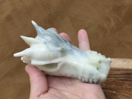 Blue carribean calciet draak