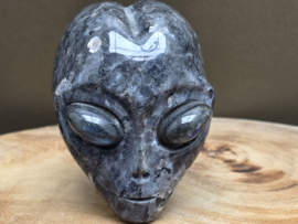 Larvikiet star being met labradoriet ogen