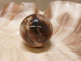 Versteend hout bol