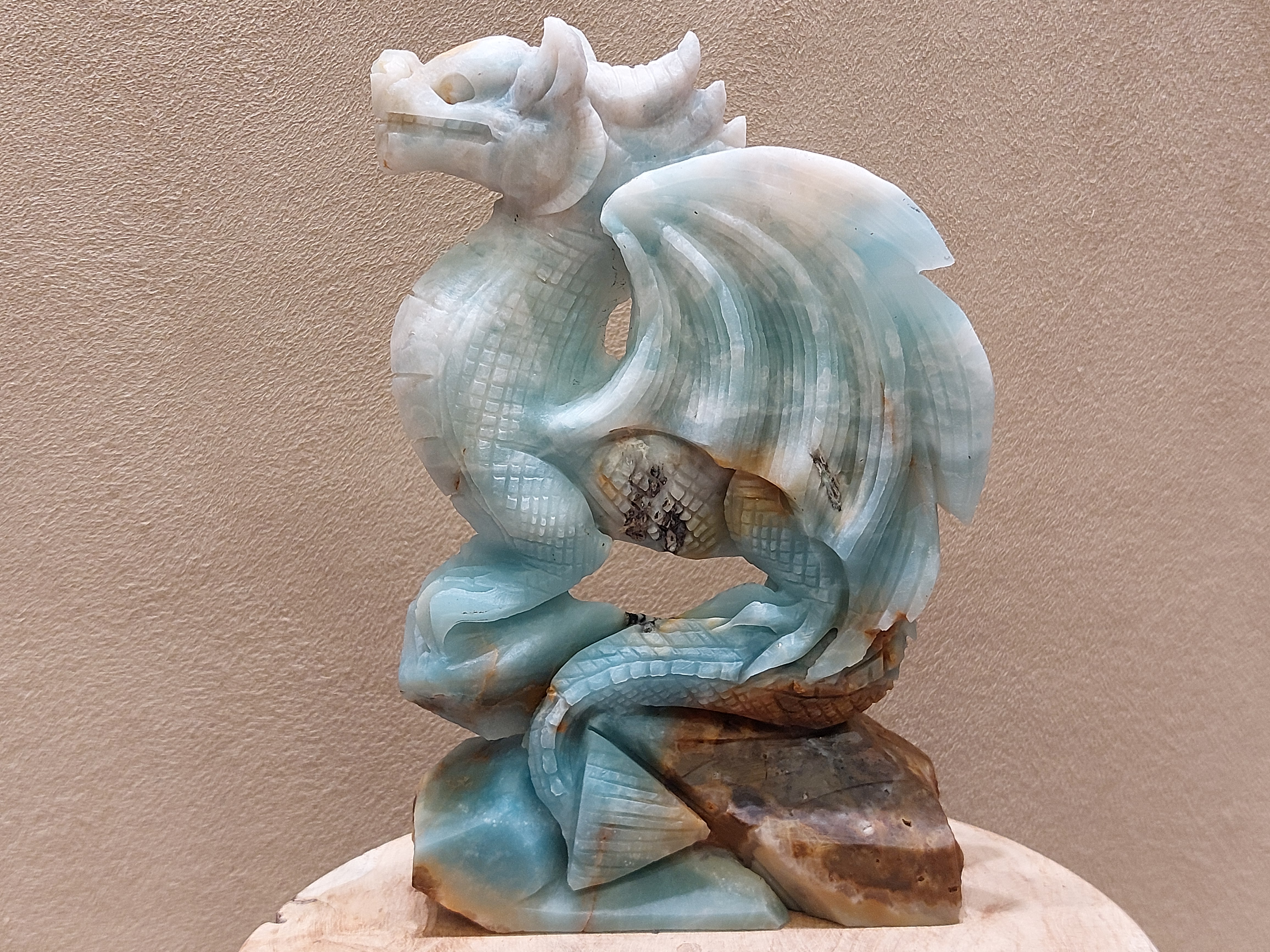 Blue carribean calciet draak full body