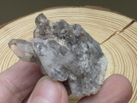 Maria magdalena cluster