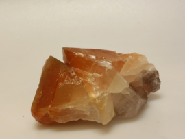Mariposa calciet uit Mexico