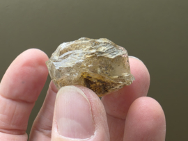 Vensterkwarts uit Pakistan