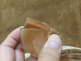 Mariposa calciet uit Mexico