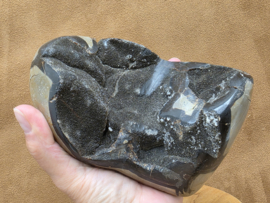 Wilde septarie sculptuur