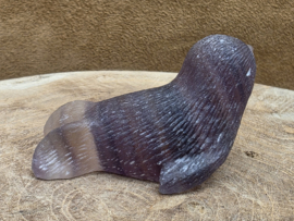 Fluoriet zeehond