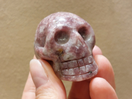 Lepidoliet human skull