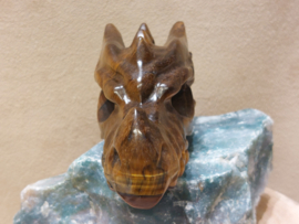 Tijgeroog draak