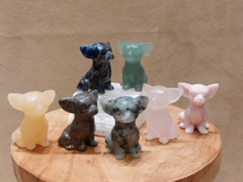 chihuahua diverse steensoorten
