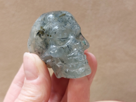 Prehniet human skull