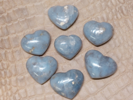 Blue Vane hart
