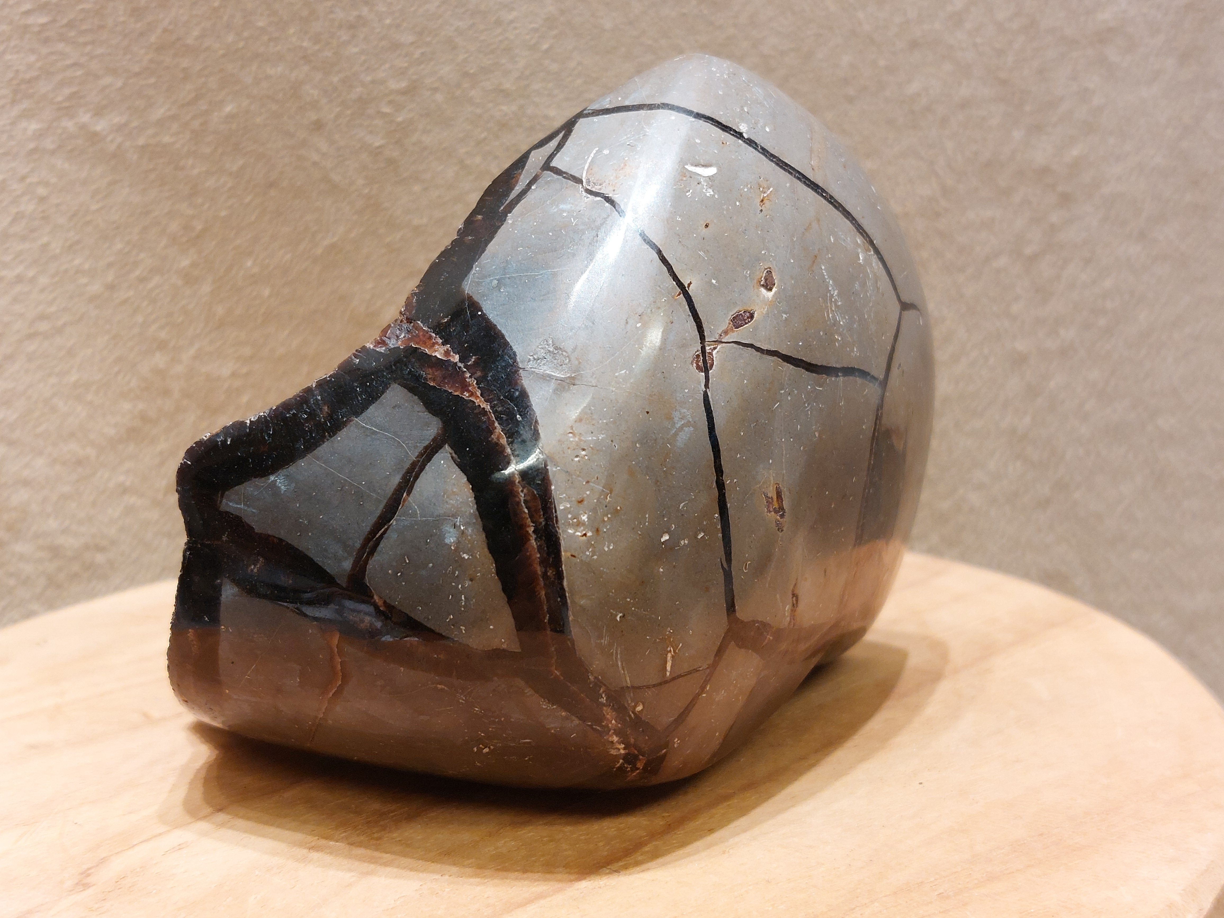 Wilde septarie sculptuur