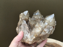 Kundalini citrien uit Congo