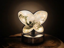 Mosagaat lamp vlindervorm