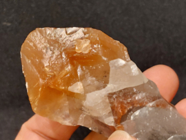 Mariposa calciet uit Mexico