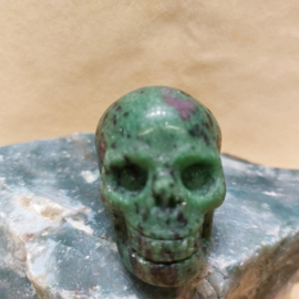 Robijn in zoisiet human skull