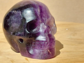 Fluoriet human skull