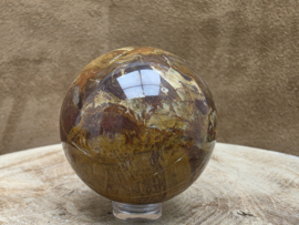 Versteend hout bol