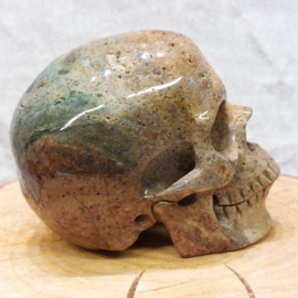 Oceaan jaspis human skull