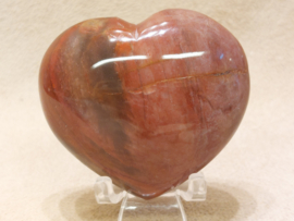 Versteend hout hart