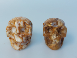 Chocolade calciet/aragoniet human skulls set