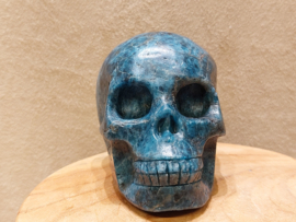 Apatiet human skull