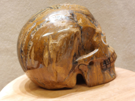 Tijgerijzer human skull