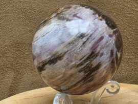 Versteend hout bol