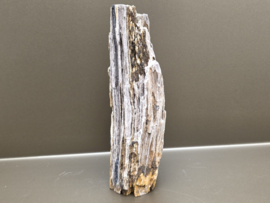 Versteend hout uit Indonesië