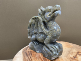 Mosagaat draak full body