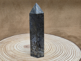 Nipomo agaat of marcasiet met agaat punt