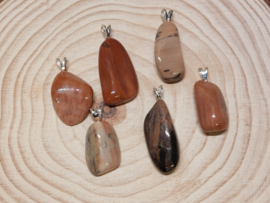 Versteend hout hanger met zilveren oogje