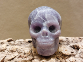 Lepidoliet human skull