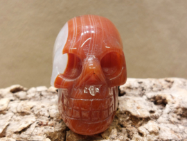 Carneool human skull