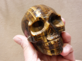 Tijgeroog human skull