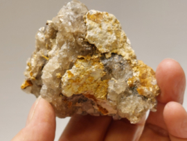 Hondentand calciet uit Marokko