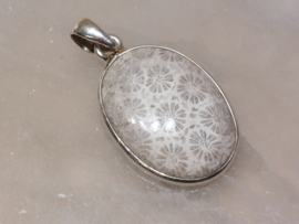 Fossiel koraal hanger in zilver