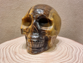 Tijgeroog human skull