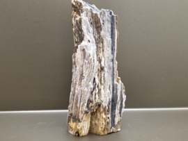 Versteend hout uit Indonesië