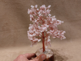 Rozenkwarts edelsteenboom