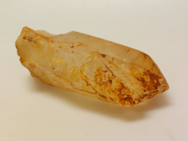 Red healer lemurian punt