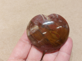 Versteend hout hart