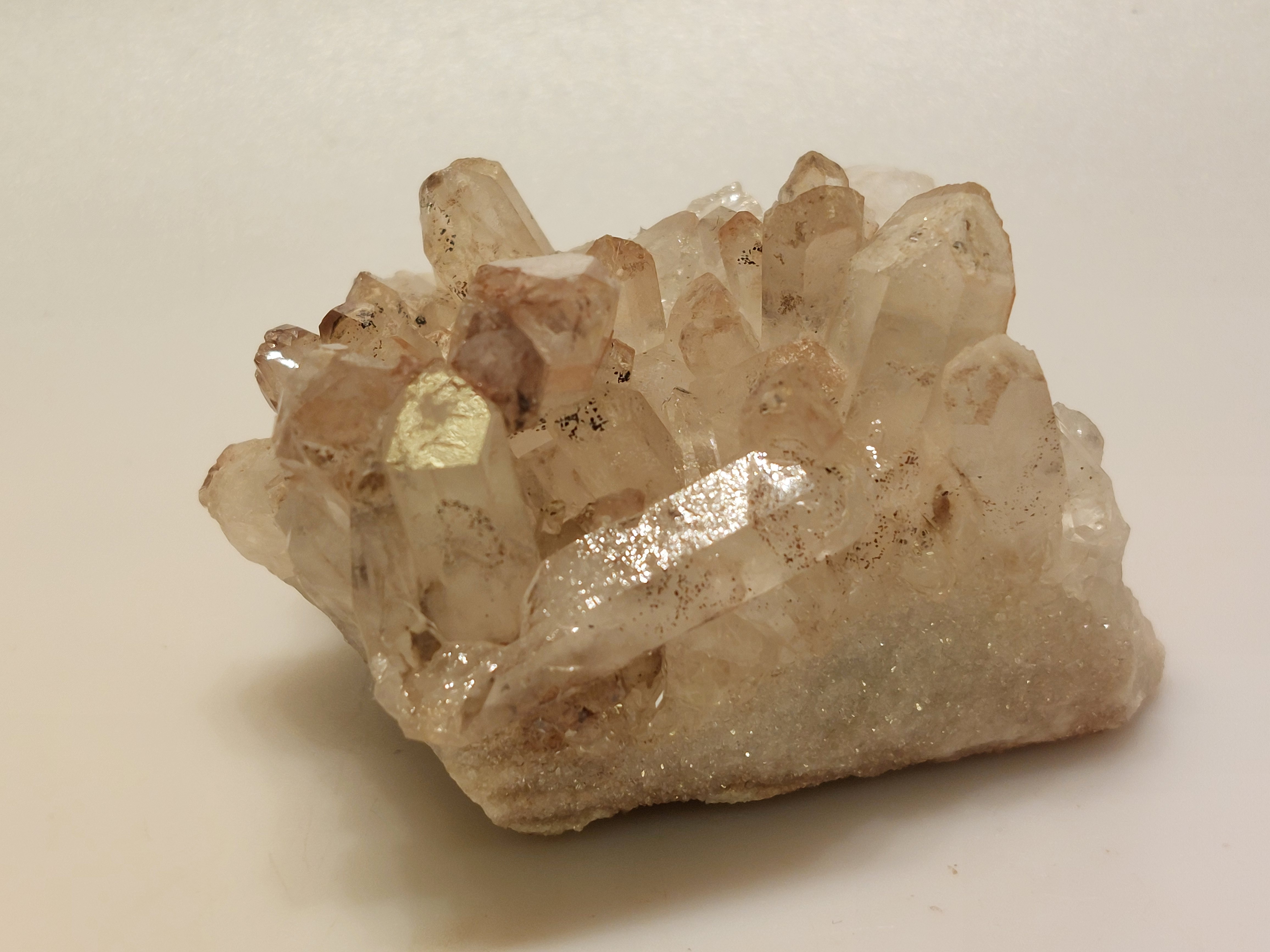 Maria magdalena cluster