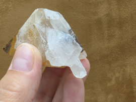 Mariposa calciet uit Mexico