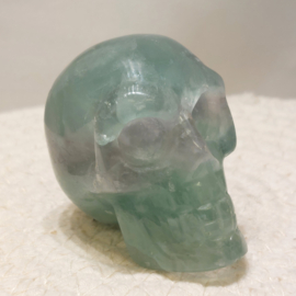 Fluoriet human skull