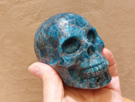 Apatiet human skull
